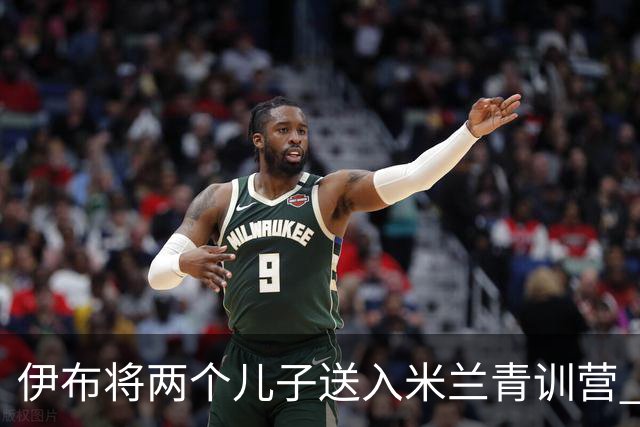 伊布将两个儿子送入米兰青训营 一个U17一个U15